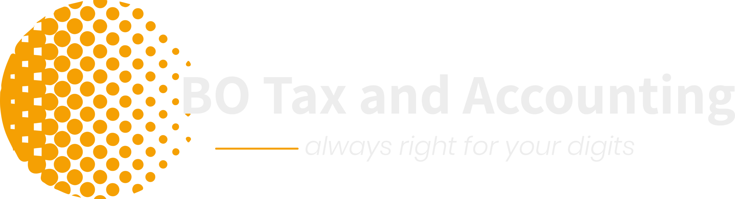 BO Tax and Accounting logo